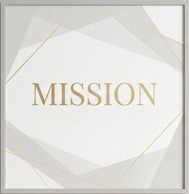Mission