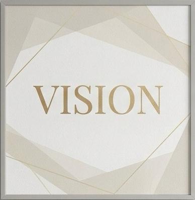 Vision